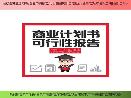 大同市合作股權(quán)合并項(xiàng)目可行性研究報(bào)告基本要求——銷售自行開發(fā)后的產(chǎn)品